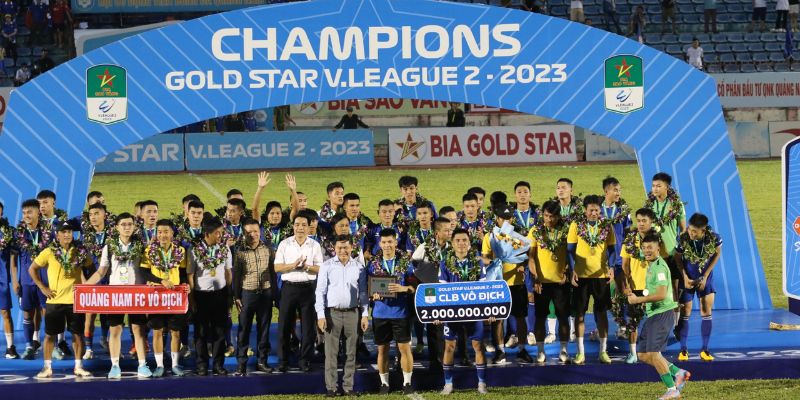 Cách thức thi đấu của giải hạng nhất Việt Nam